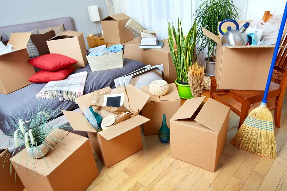 A bedroom part way through packing, with open cartons, red cushions, books, pot plants and a broom spread across the bed and timber floor